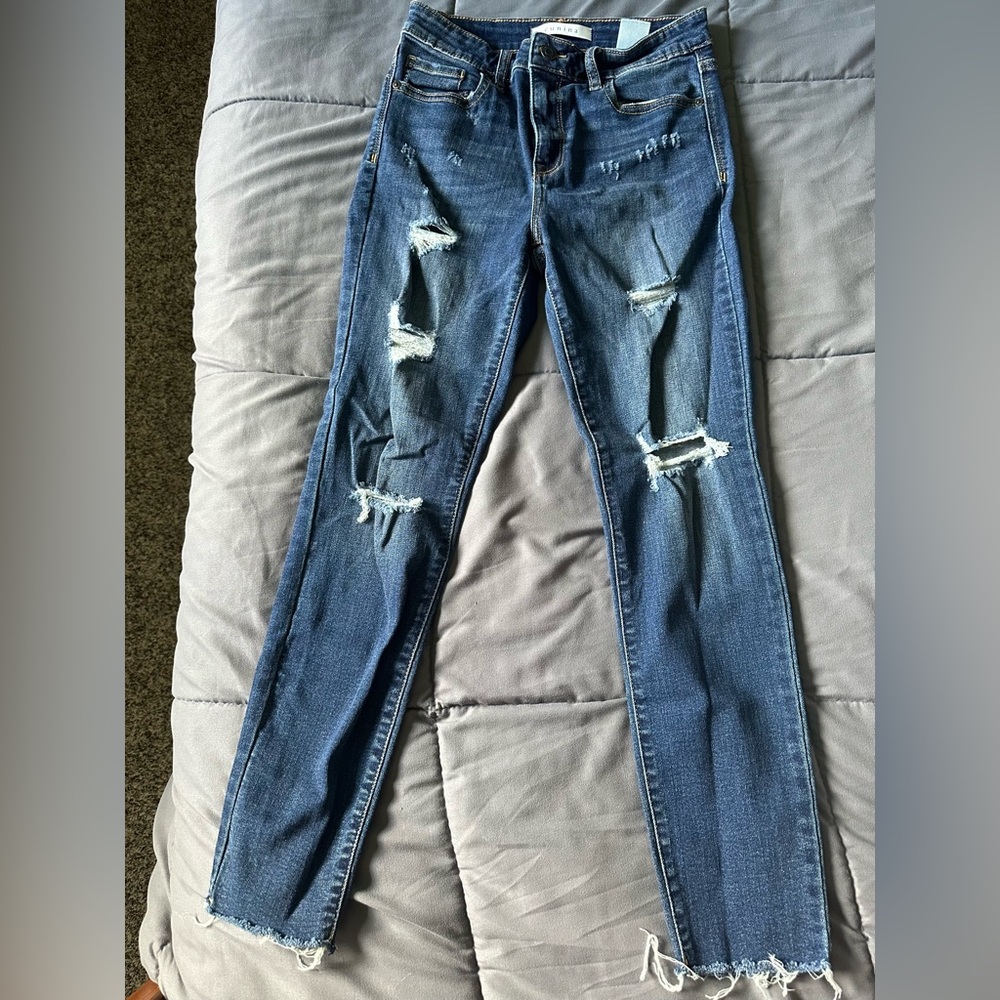 Eunina Blue Skinny Jeans with Distressed Details